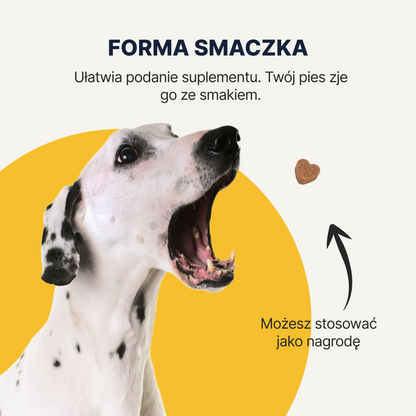 ProbioVet Probiotics